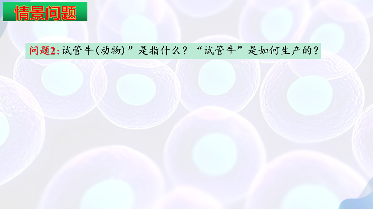 18164644第4页