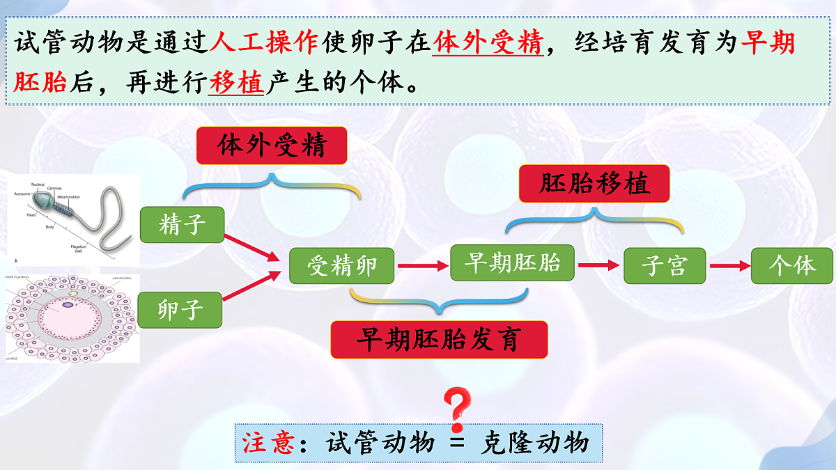18164644第5页