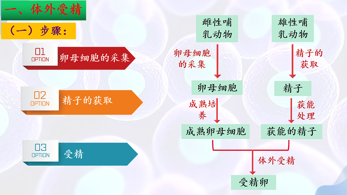 18164644第7页