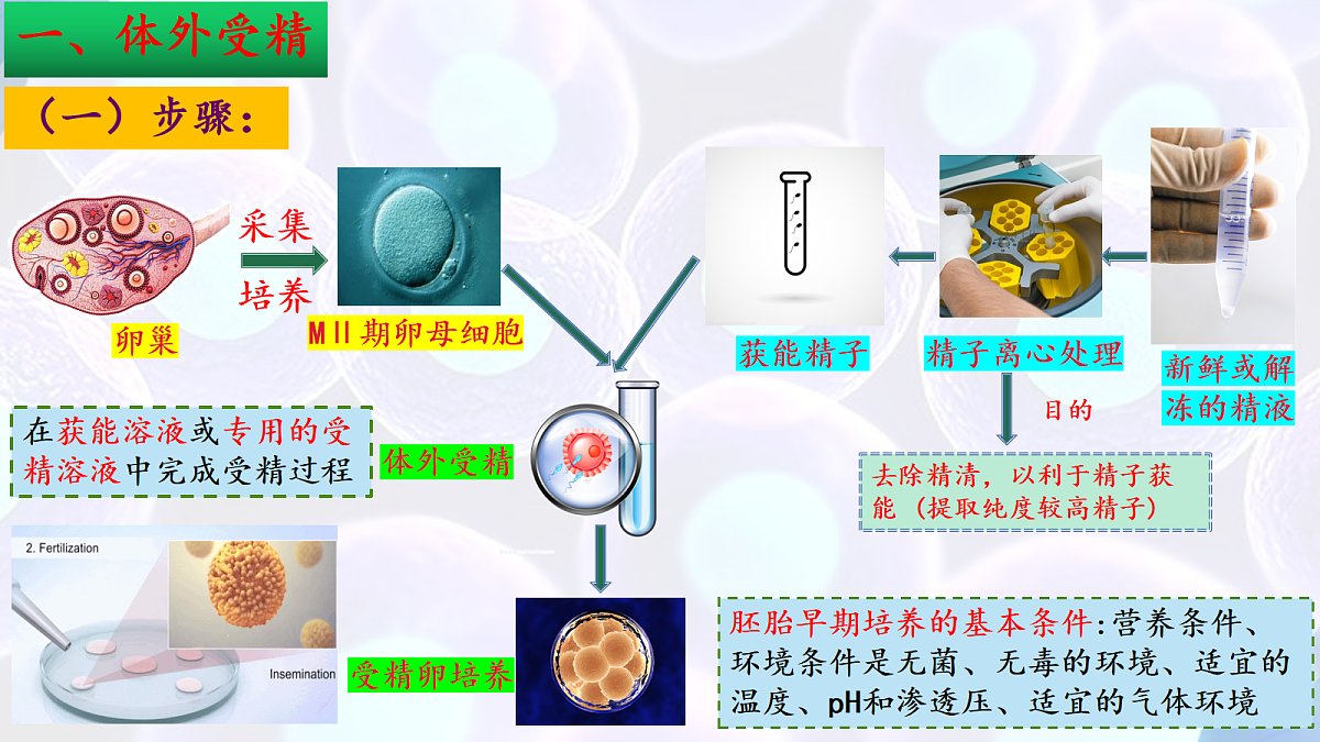 18164644第8页