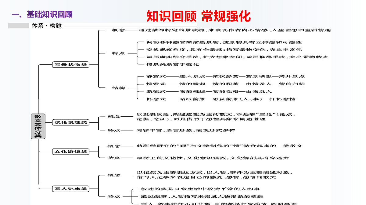 18164705第3页