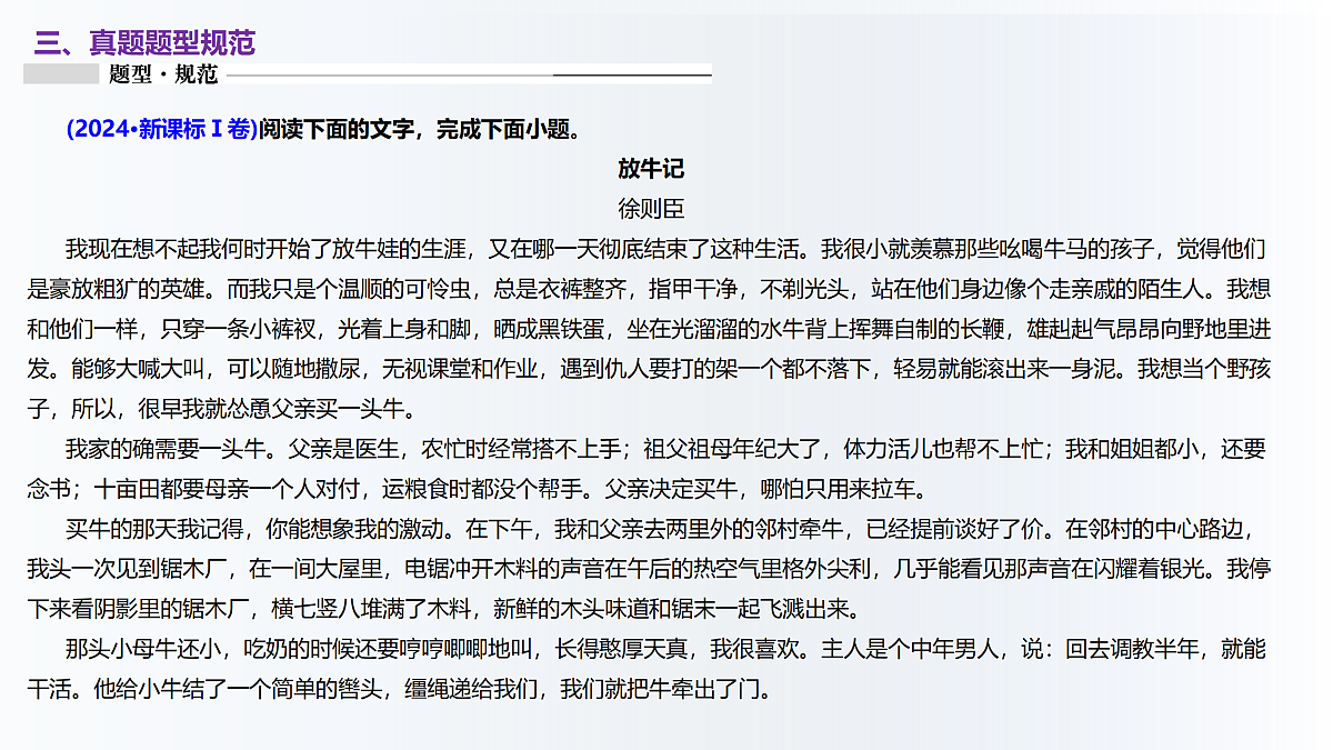 18164705第7页