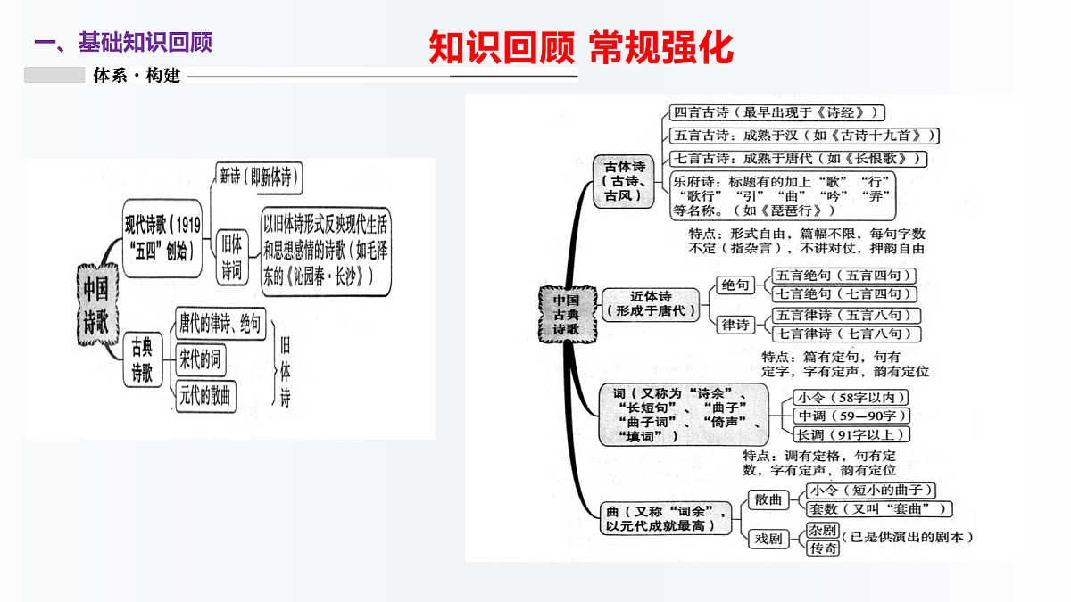 18164706第3页
