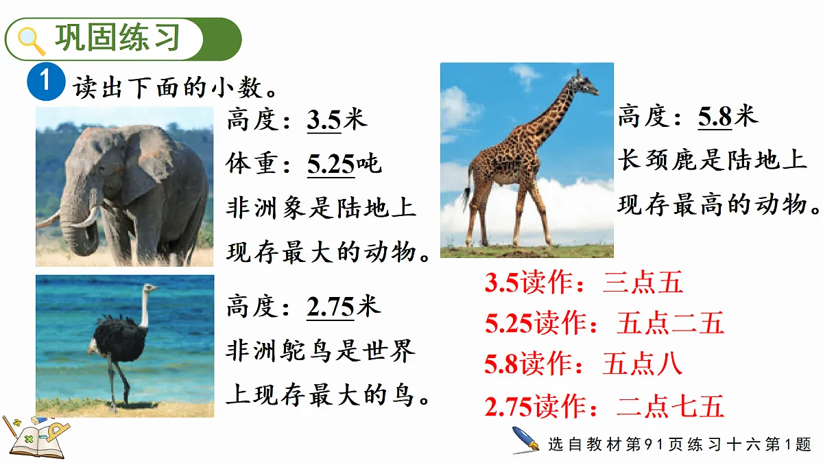 18164765第8页