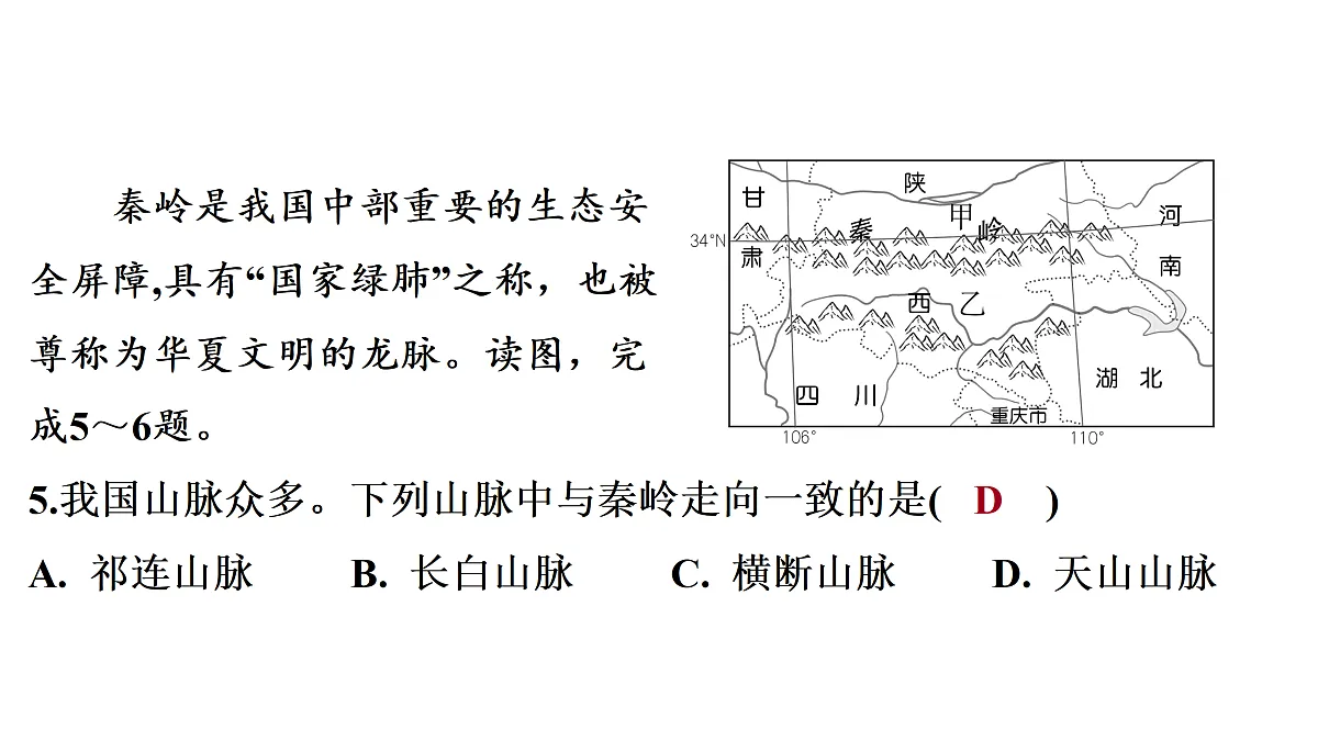 18164848第7页