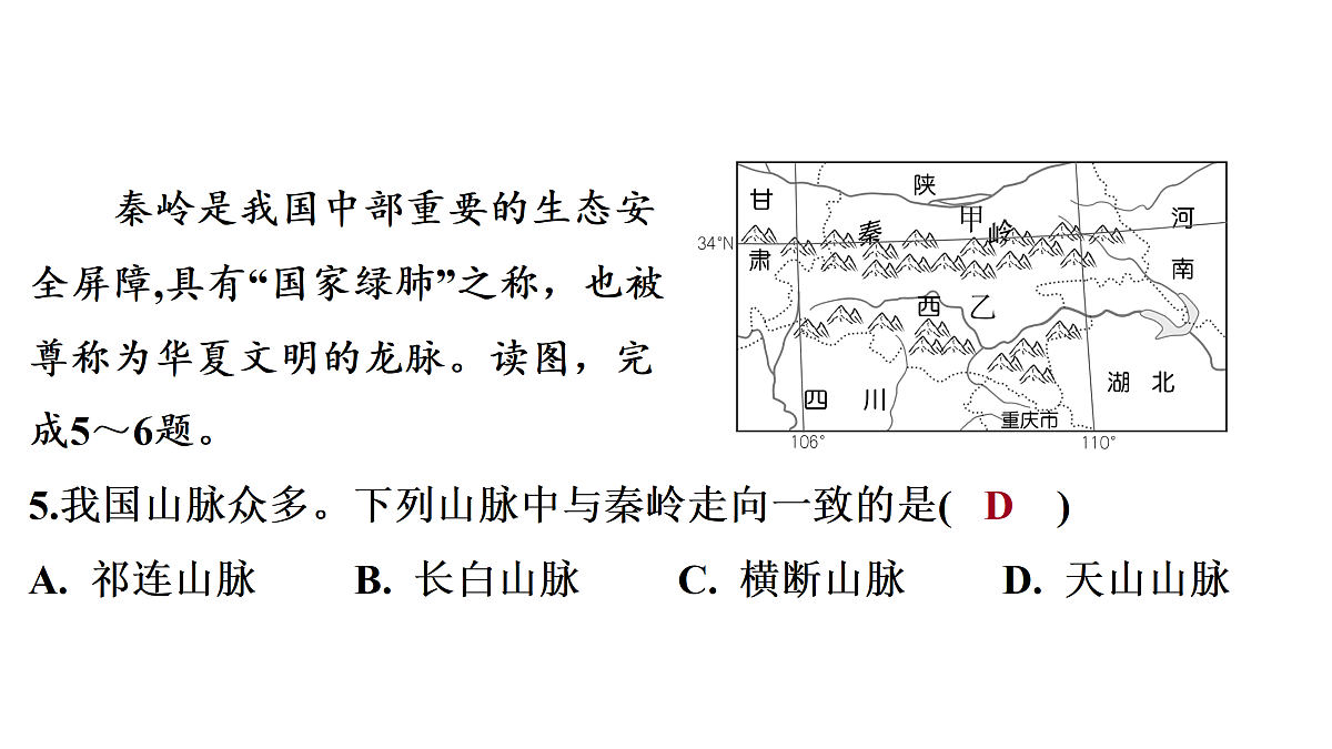 18164848第7页