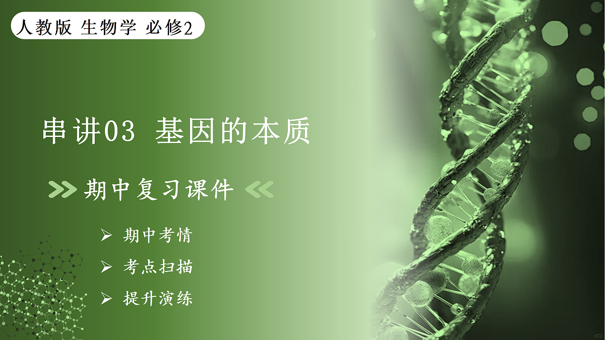 18164856第1页
