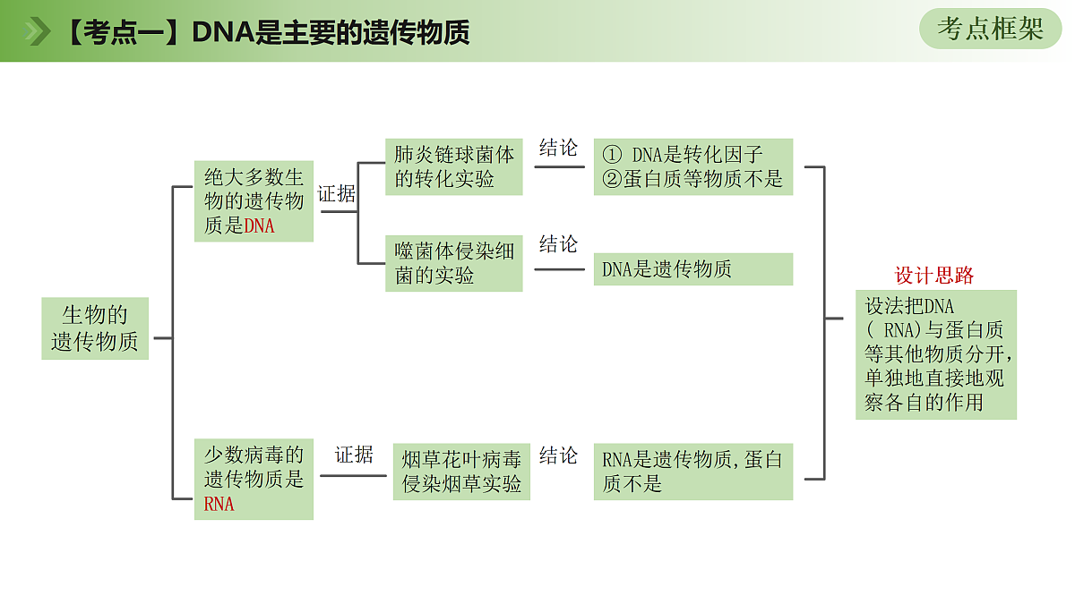18164856第7页