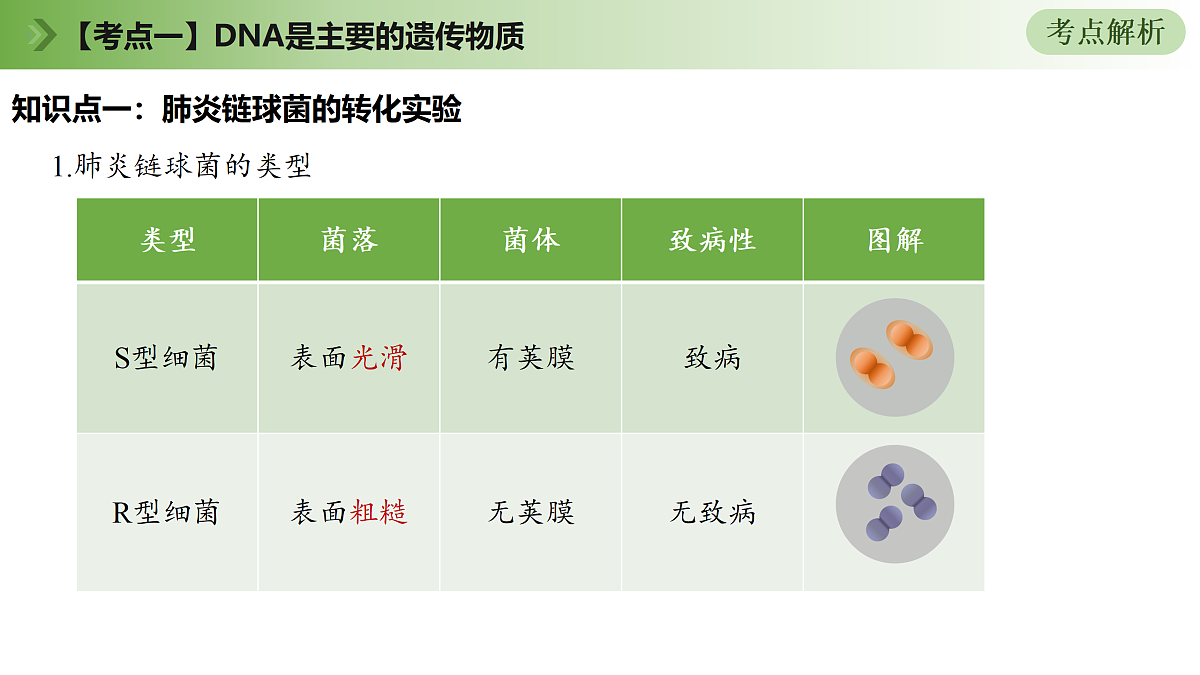 18164856第8页