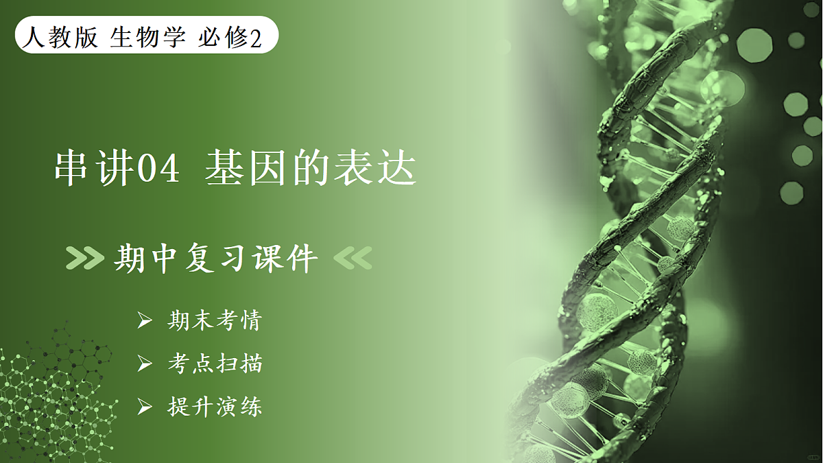 18164866第1页