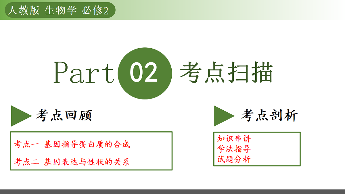 18164866第5页