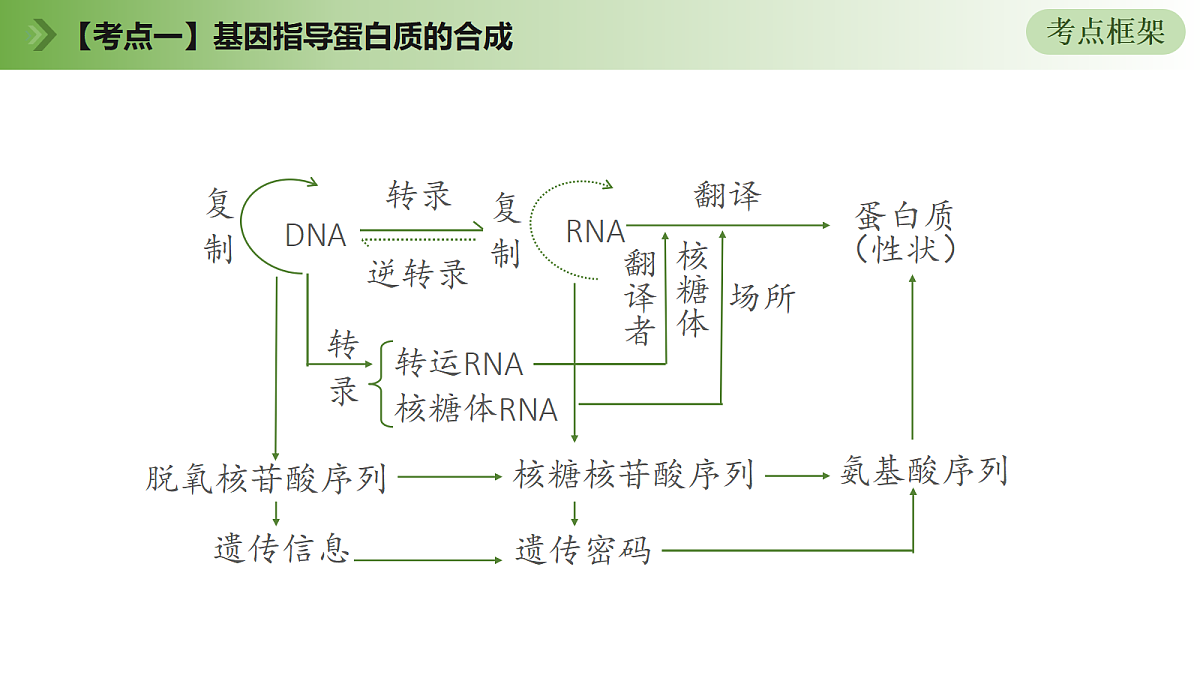 18164866第6页