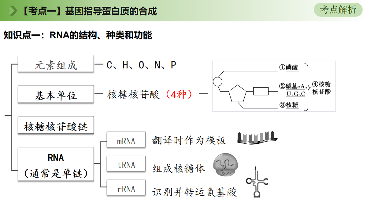 18164866第7页