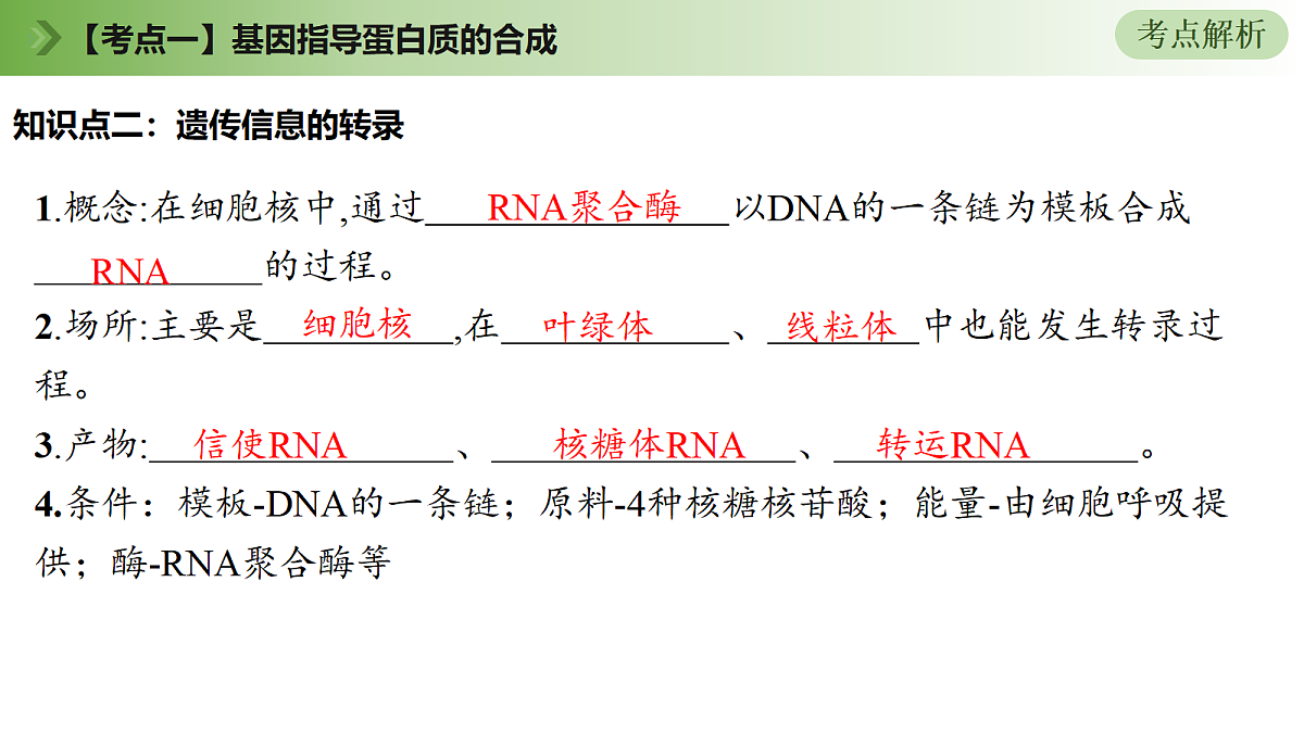 18164866第8页