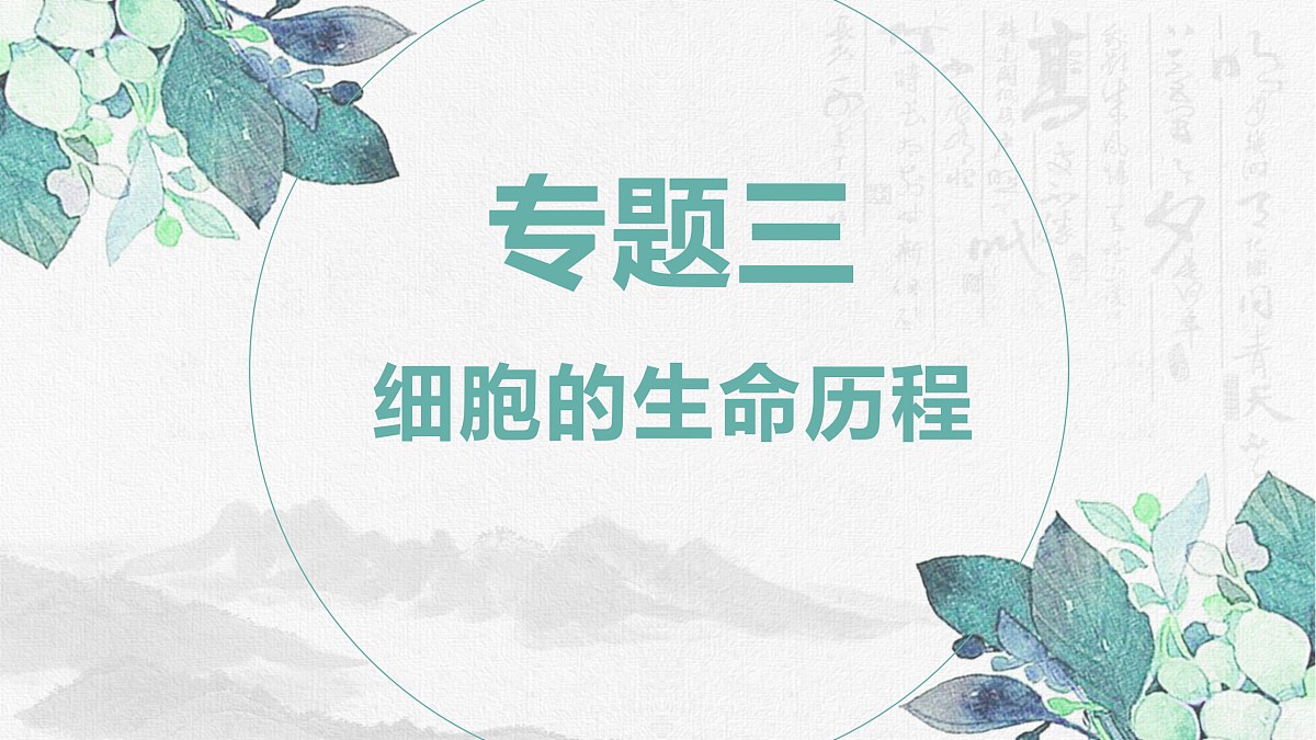 18164876第1页