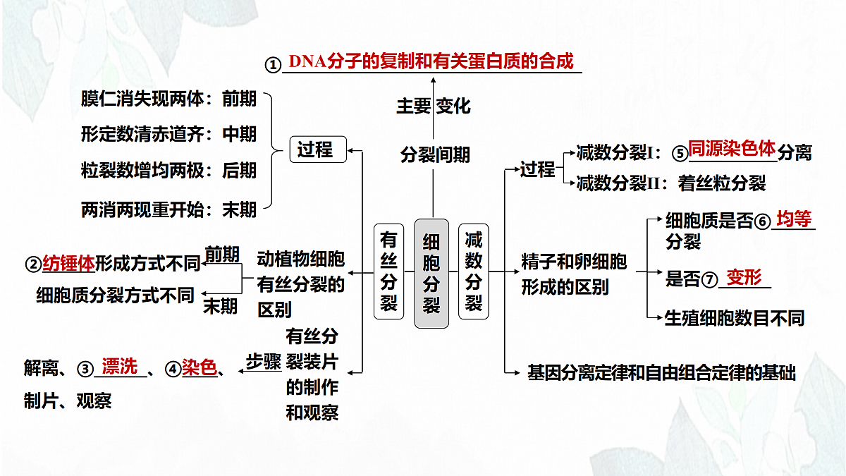 18164876第2页
