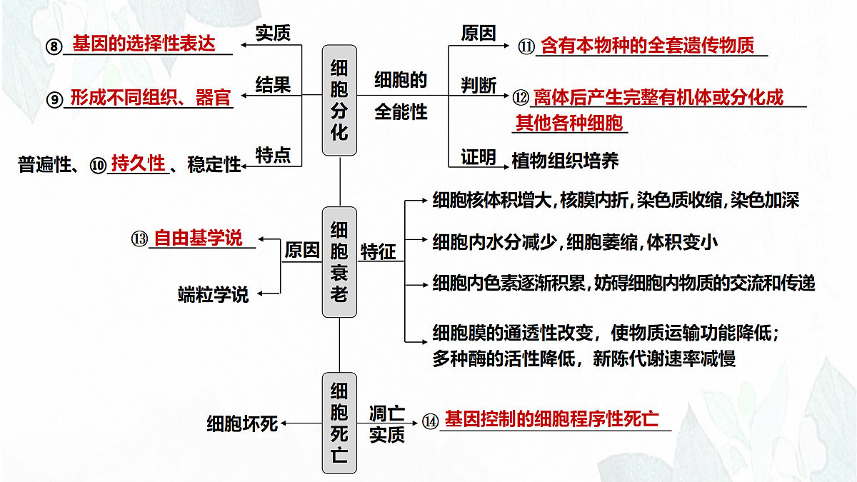 18164876第3页