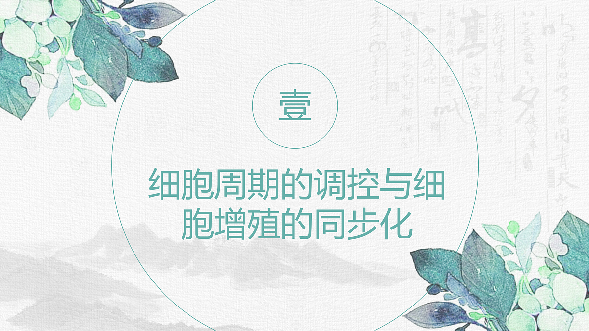 18164876第5页