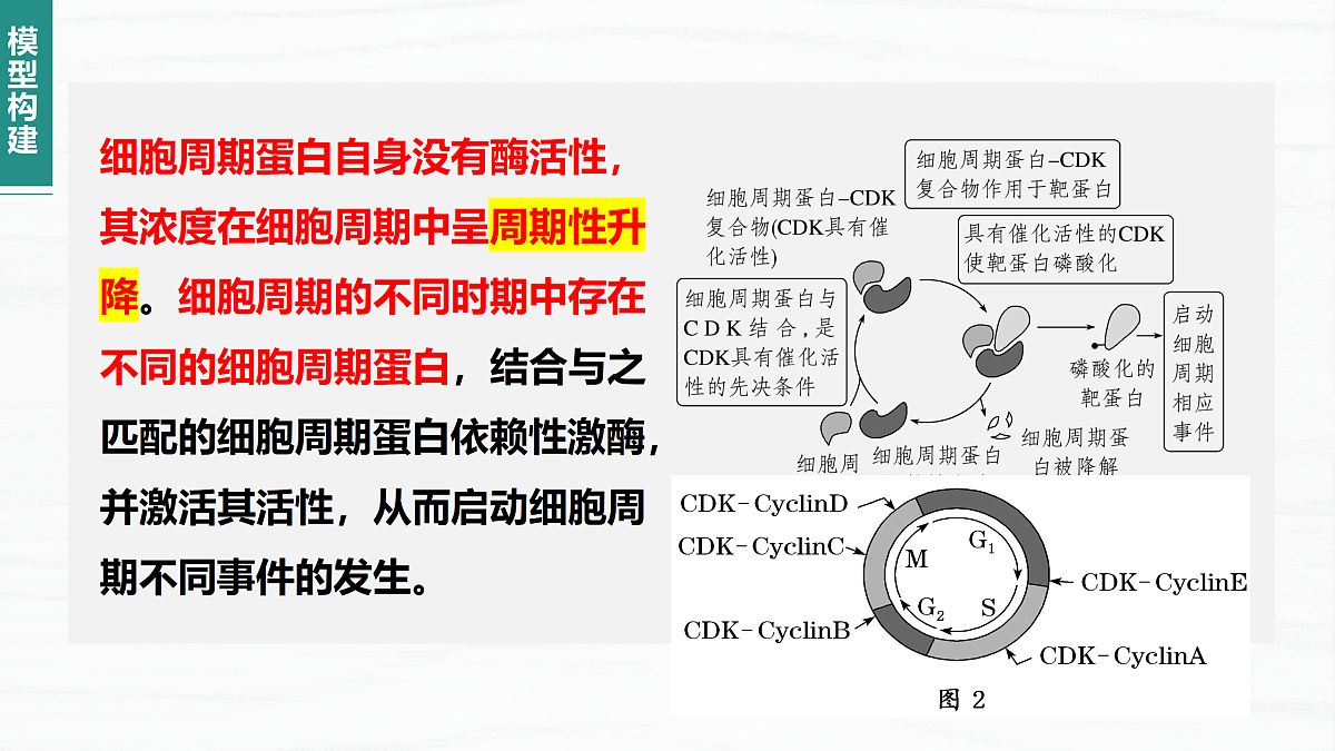 18164876第7页