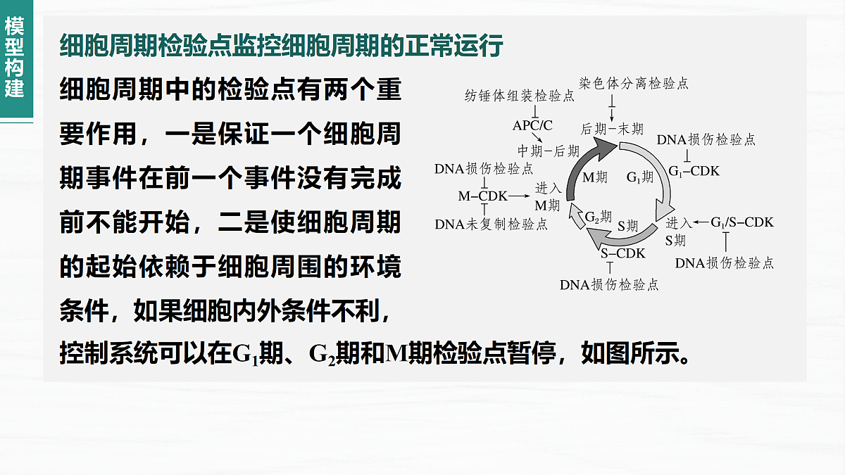 18164876第8页