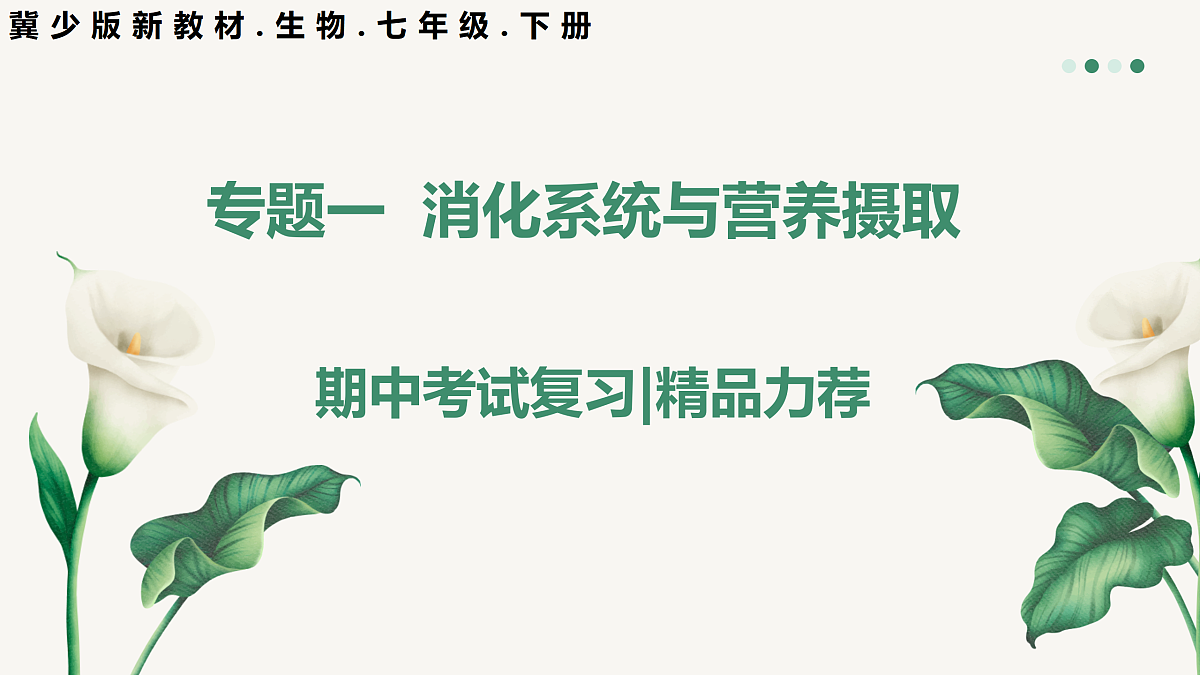 18164890第1页