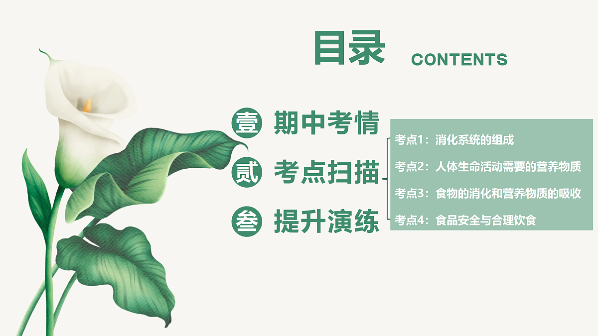 18164890第2页