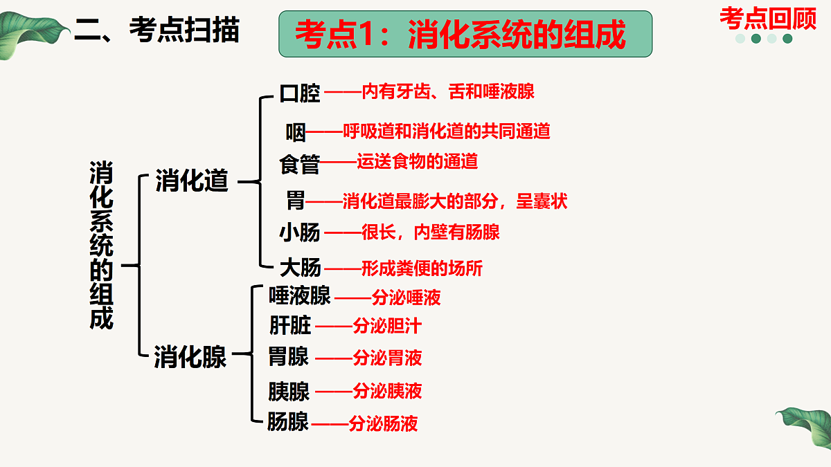 18164890第4页