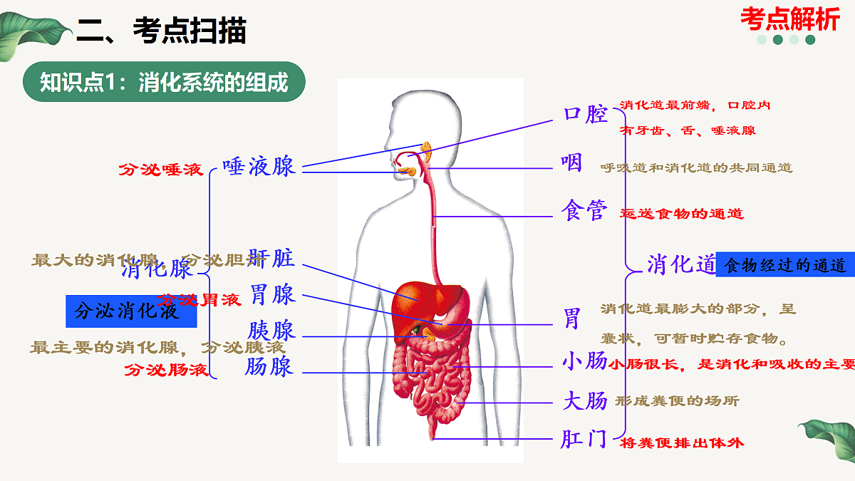18164890第5页