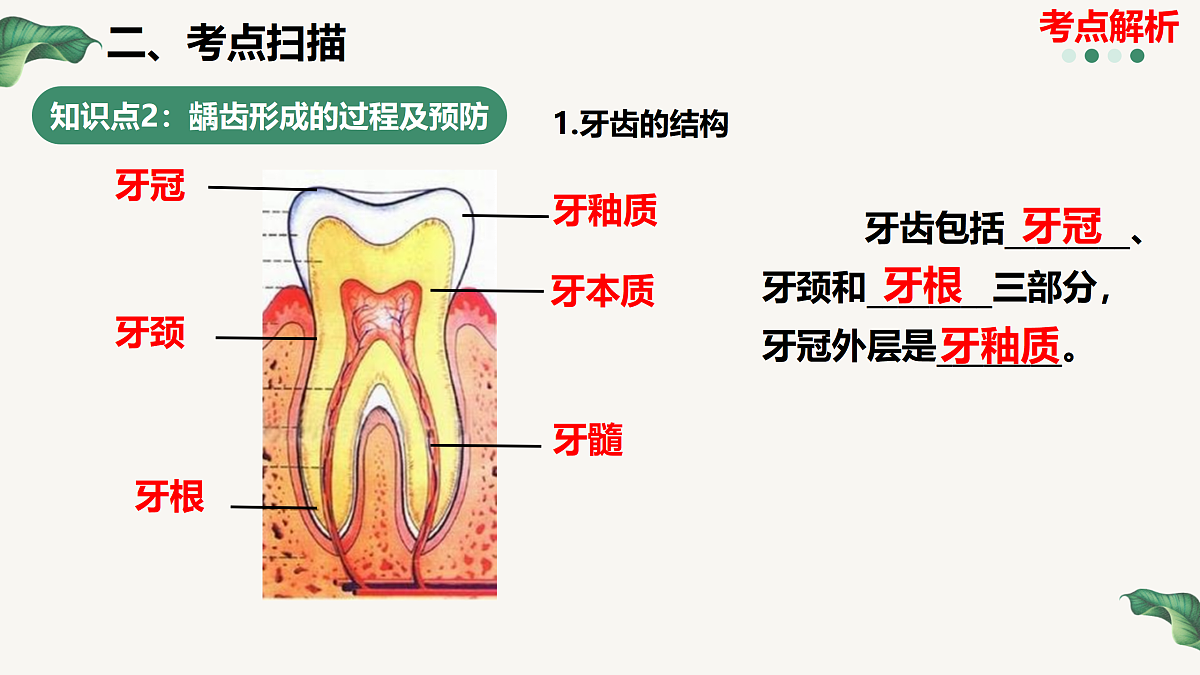 18164890第6页