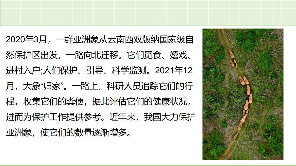 18164901第2页