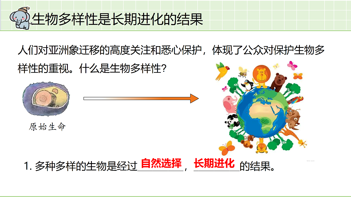 18164901第3页