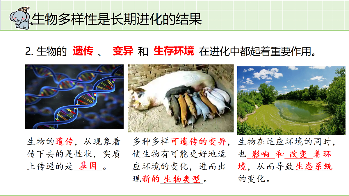 18164901第4页
