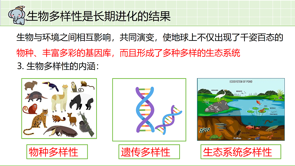 18164901第5页