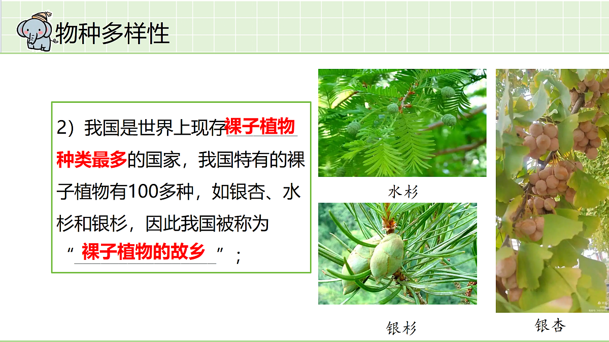 18164901第8页