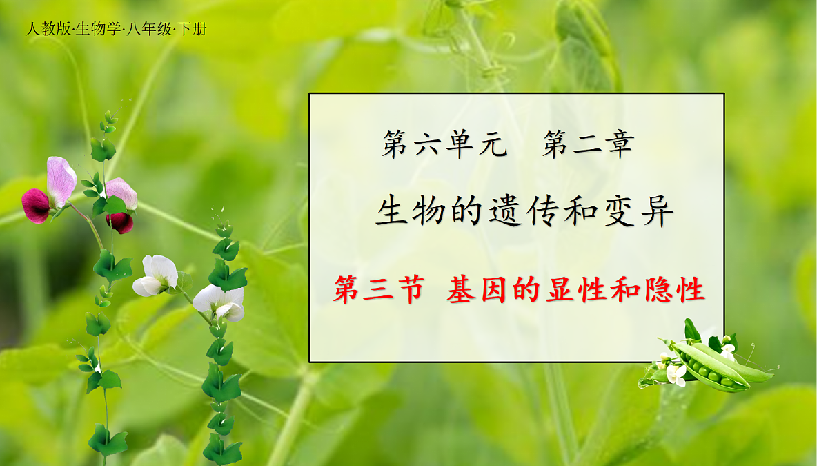 18164906第1页