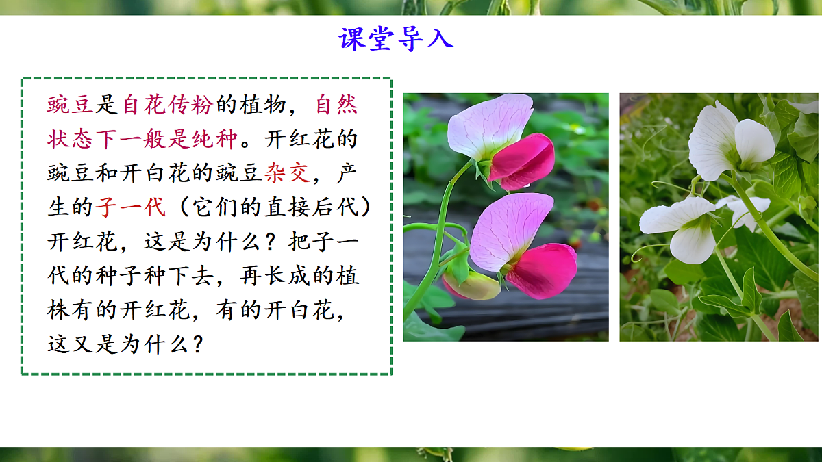 18164906第2页