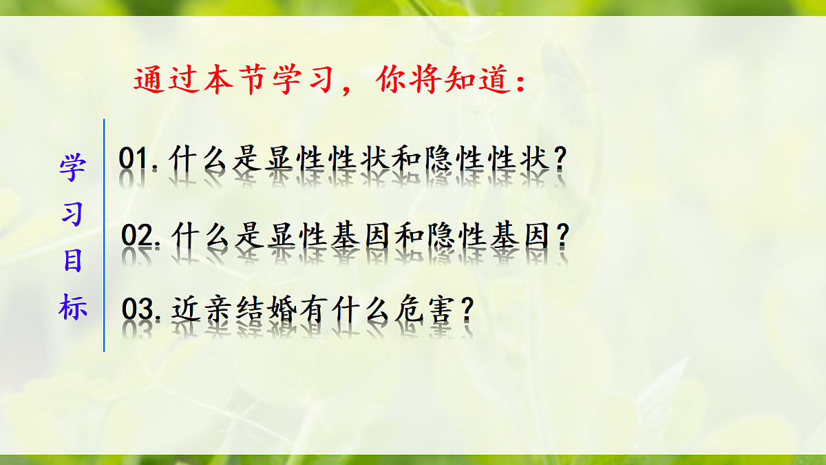 18164906第3页