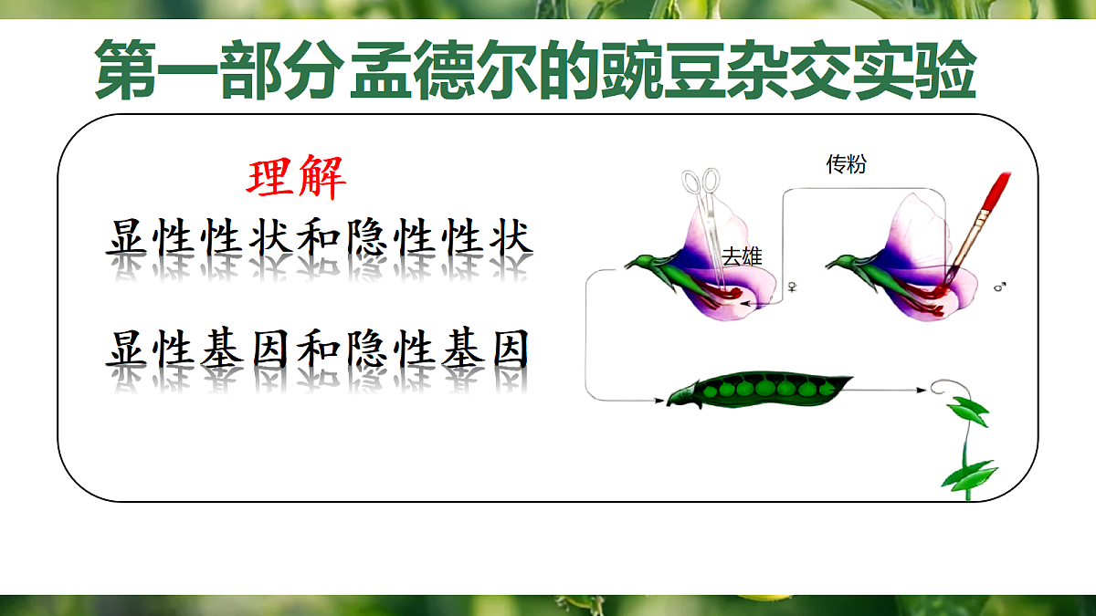 18164906第4页