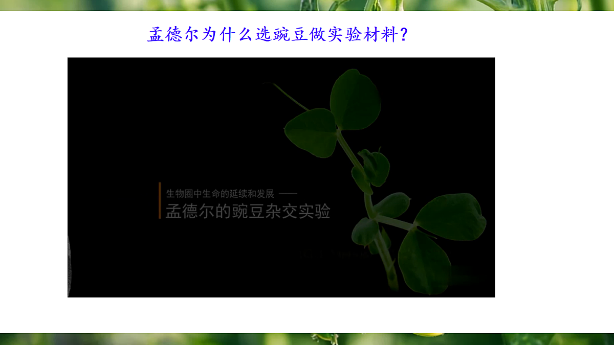 18164906第5页