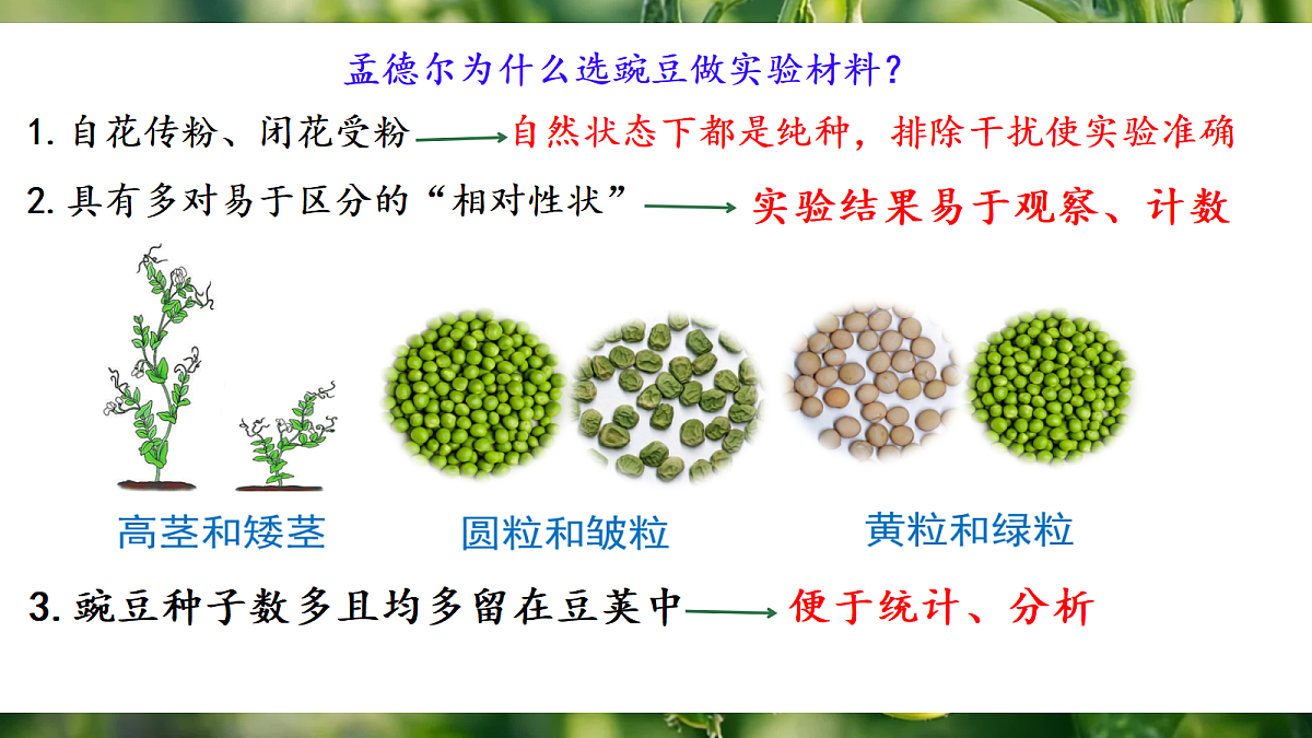 18164906第6页