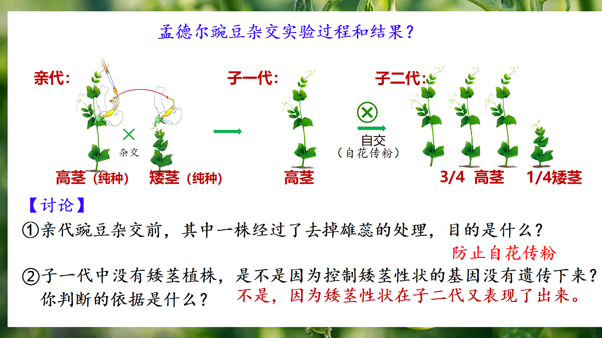 18164906第7页