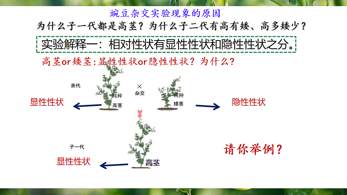 18164906第8页