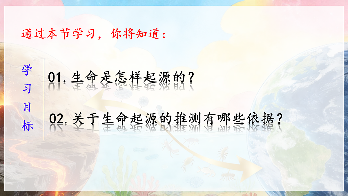 18164909第3页