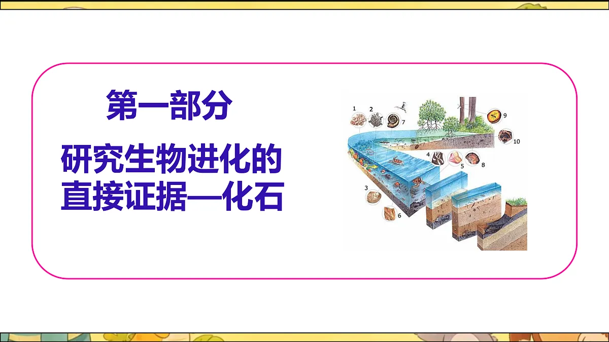 18164910第4页