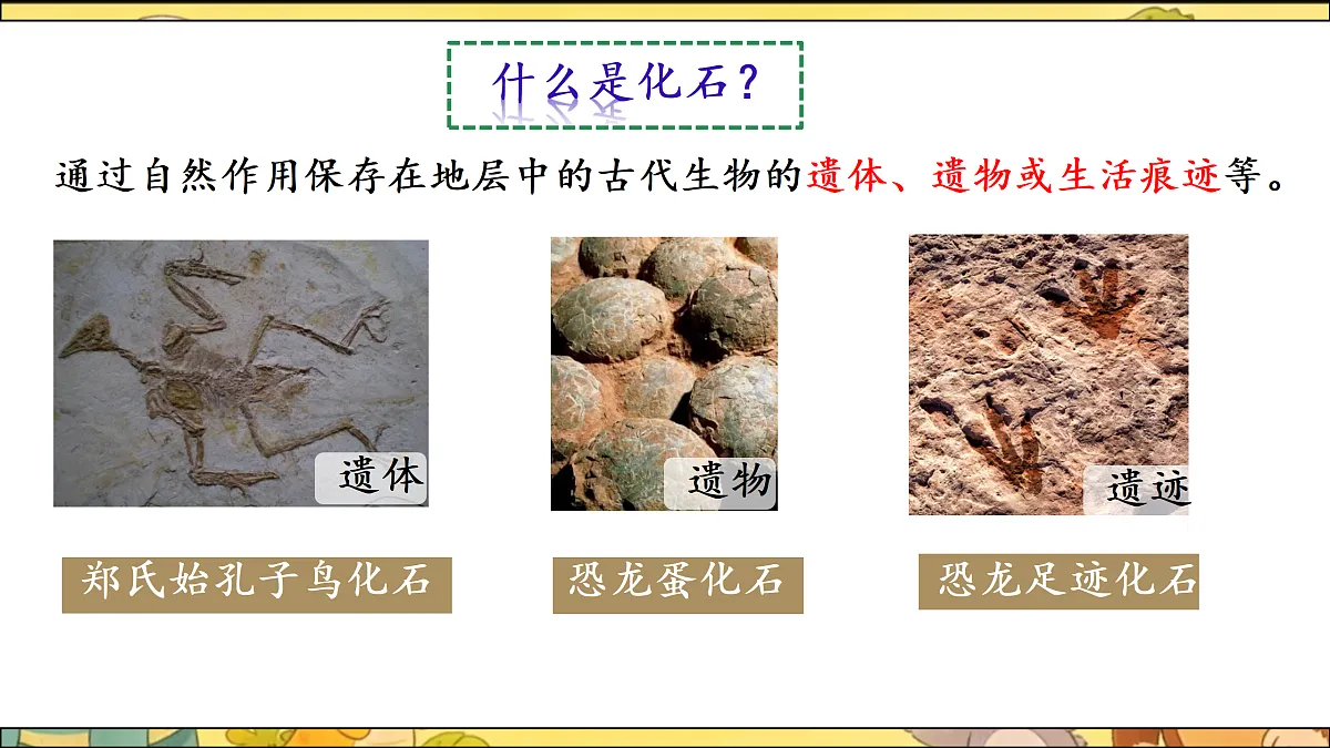 18164910第5页