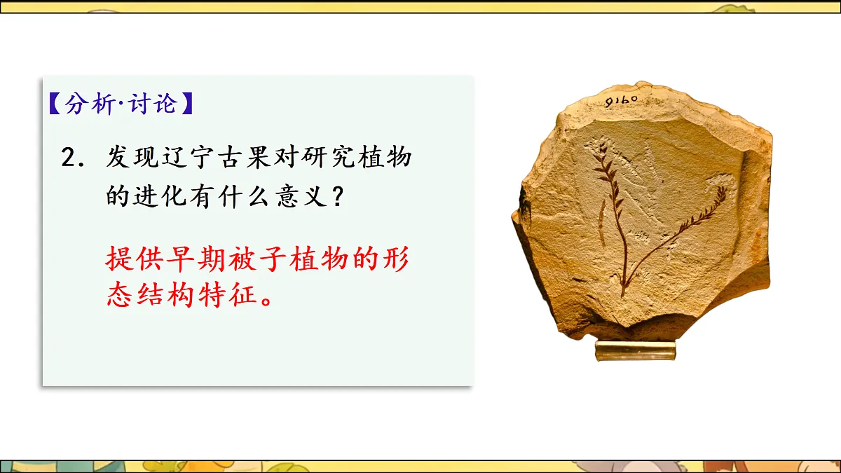 18164910第7页