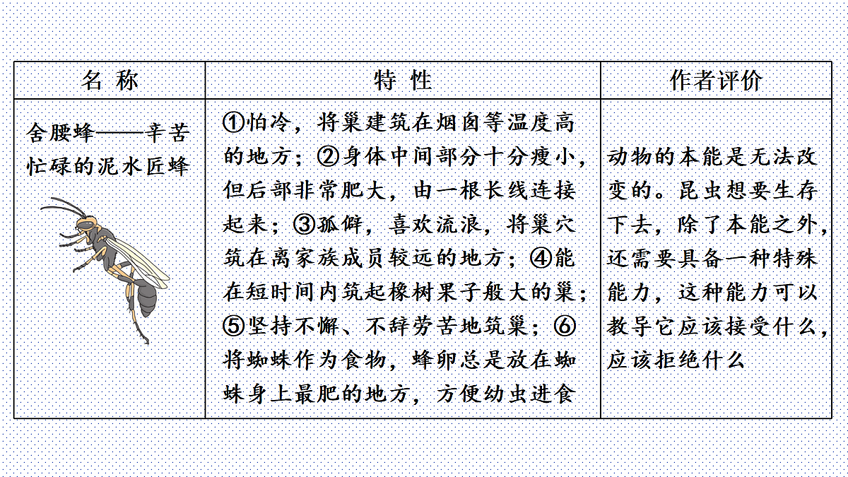18165027第7页