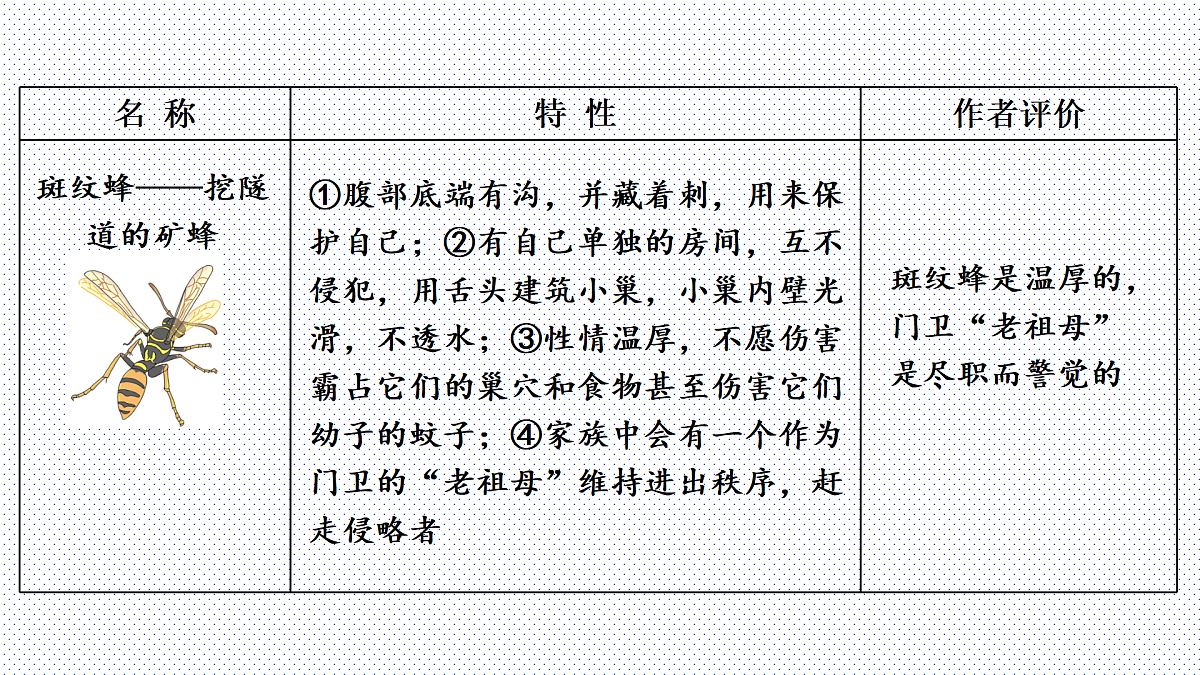 18165027第8页