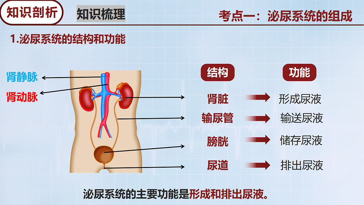 18165030第4页