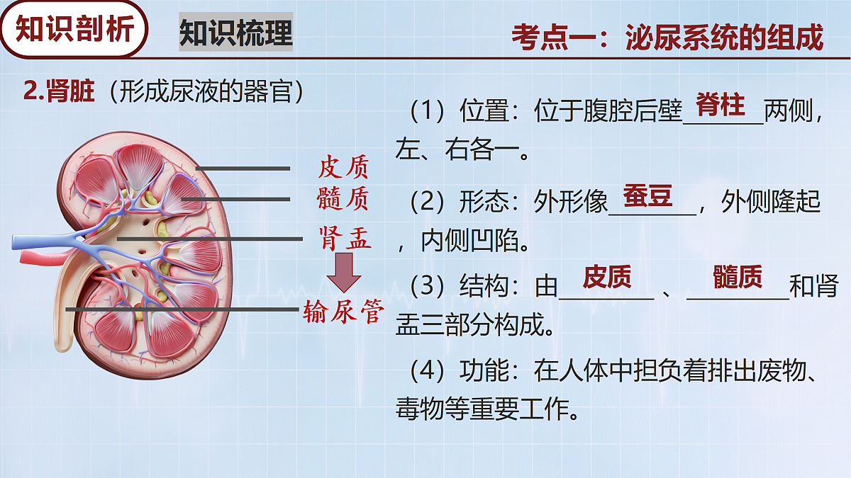 18165030第5页